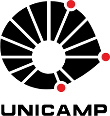 University of Campinas